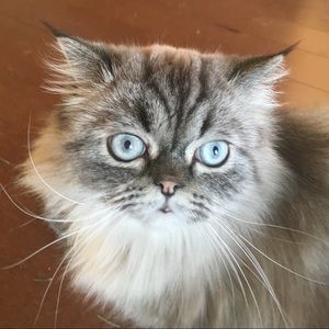 Meet your Posher, Aimee